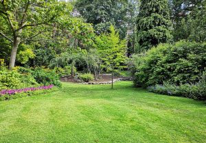 Optimiser l'expérience du jardin à Saint-Germain-d'Aunay