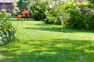 travaux jardin et paysage Saint-Germain-d'Aunay